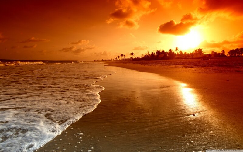 Sunset at Tropical Beach — Orange, Dramatic, Photograph, Ocean, Palm Trees
