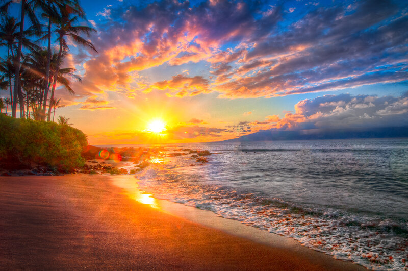 Sunset at Tropical Beach — Orange, Dramatic, Photograph, Palm Trees