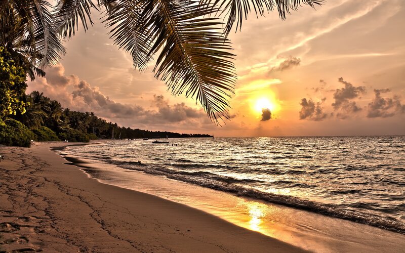 Sunset at Tropical Beach — Orange, Serene, Photograph, Palm Trees, Ocean, Sand, Clouds