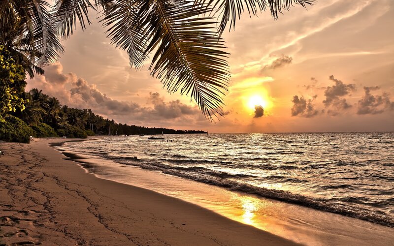 Sunset at Tropical Beach — Orange, Serene, Photograph, Palm Trees, Ocean, Sand, Clouds, Yellow