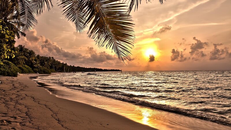 Sunset at Tropical Beach — Orange, Serene, Photograph, Palm Trees, Ocean, Sand