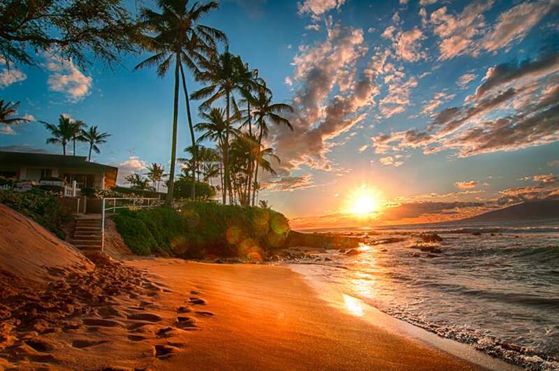 Sunset at Tropical Beach — Orange, Serene, Photograph, Palm Trees
