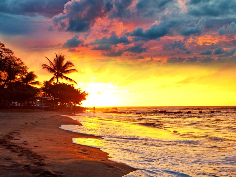 Sunset at Tropical Beach — Yellow, Dramatic