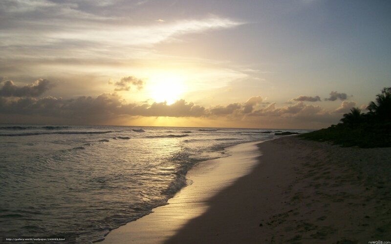 Sunset at Tropical Beach — Yellow, Serene, Photograph