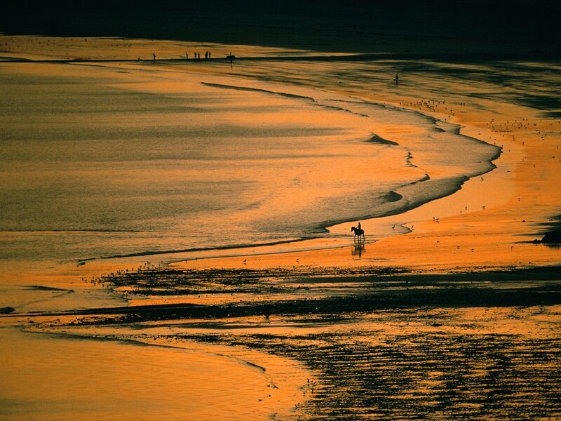Sunset beach with horseback rider