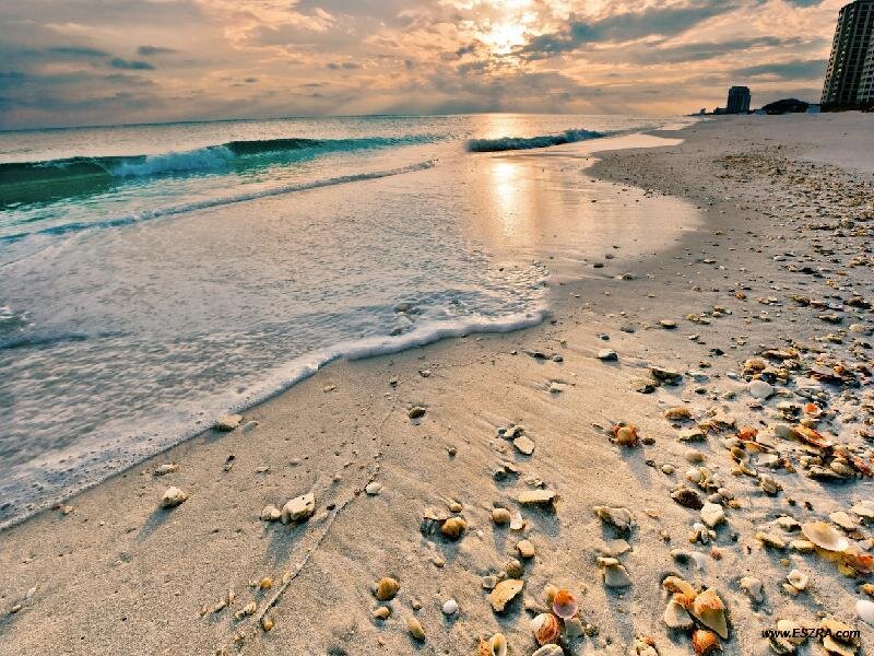 sunset beach with seashells