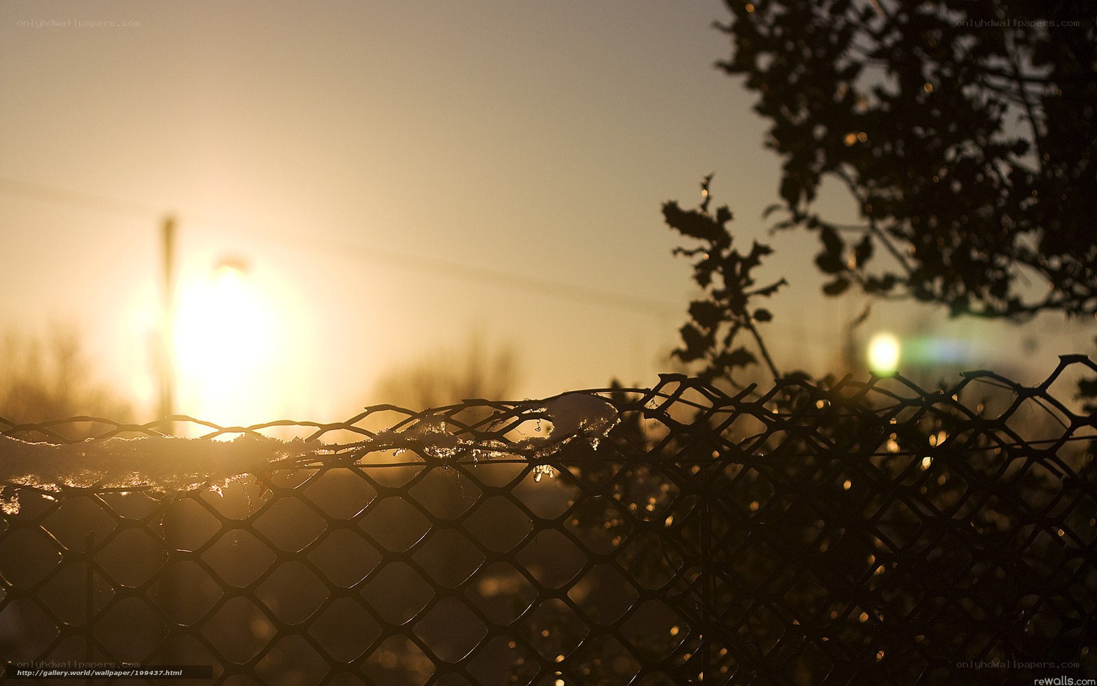 Sunset behind a chain-link fence