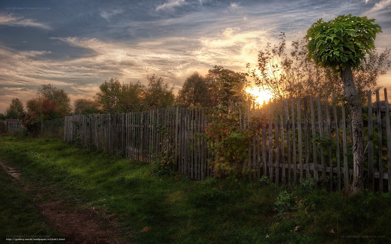 Sunset behind a wooden fence