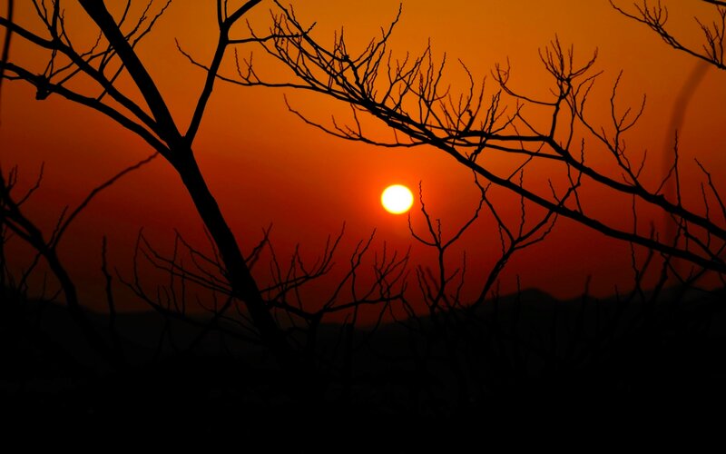 Sunset Behind Bare Branches