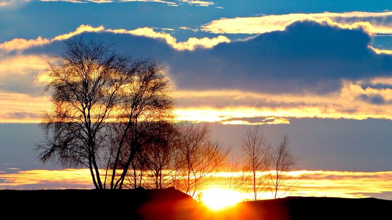 Sunset behind bare trees