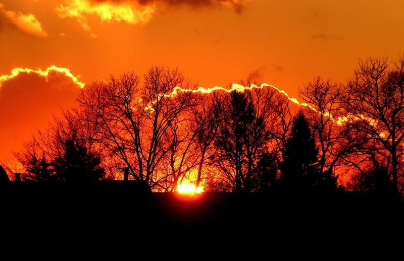 Sunset behind bare trees