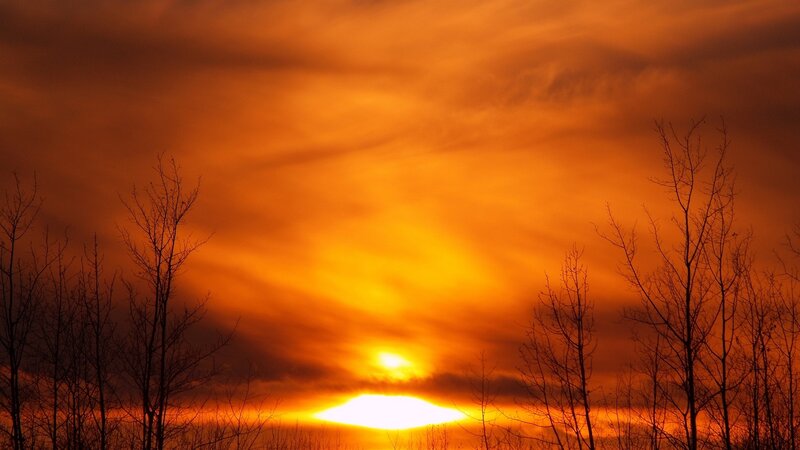 Sunset behind bare trees