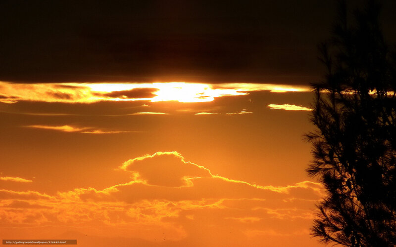 Sunset Behind Clouds — Orange, Dramatic, Photograph, Tree