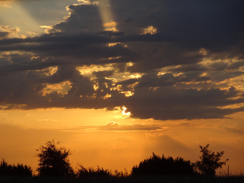 Sunset Behind Clouds — Orange, Dramatic, Photograph, Trees