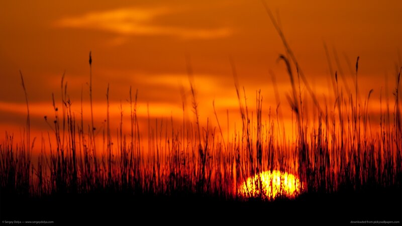 Sunset Behind Grass — Orange, Dramatic