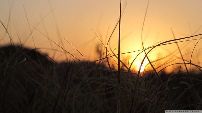 Sunset Behind Grass — Orange, Serene, Photograph, Sky