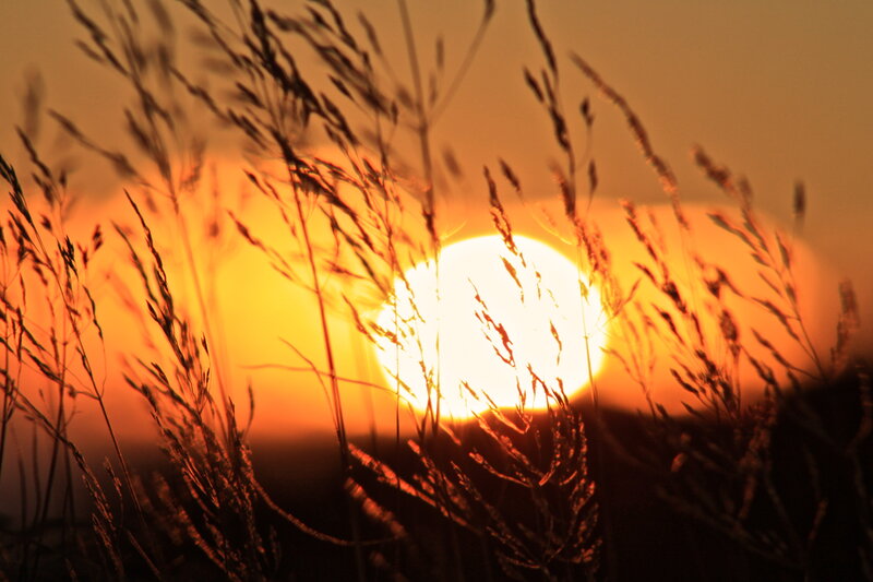 Sunset Behind Grass — Orange, Serene, Photograph