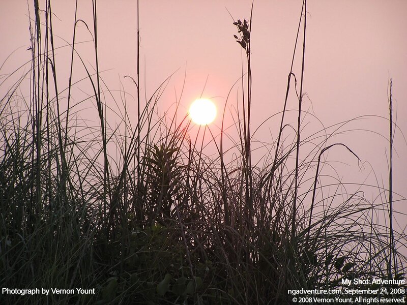 Sunset Behind Grass — Pink