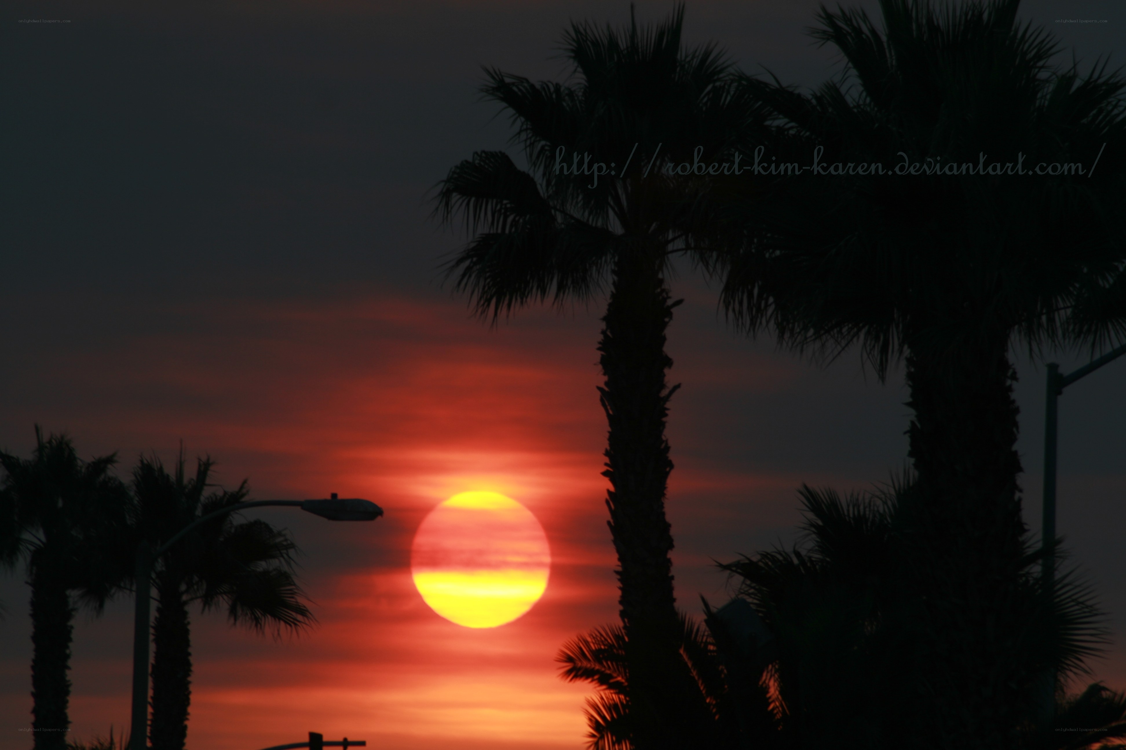 sunset behind palm trees