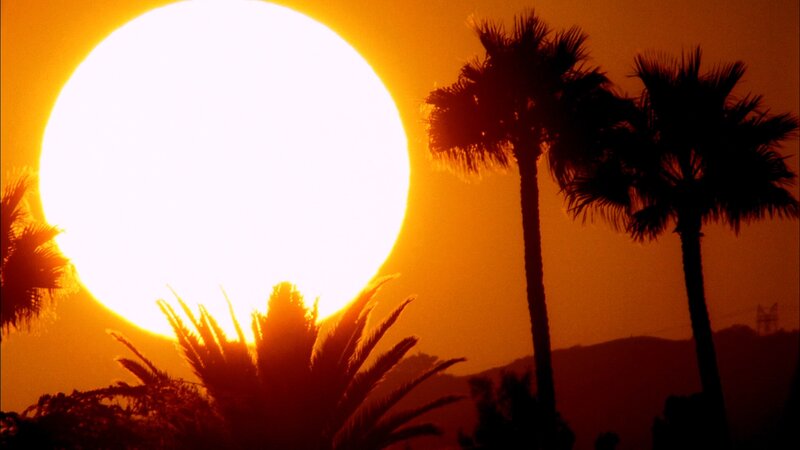 Sunset Behind Palm Trees — Orange, Dramatic