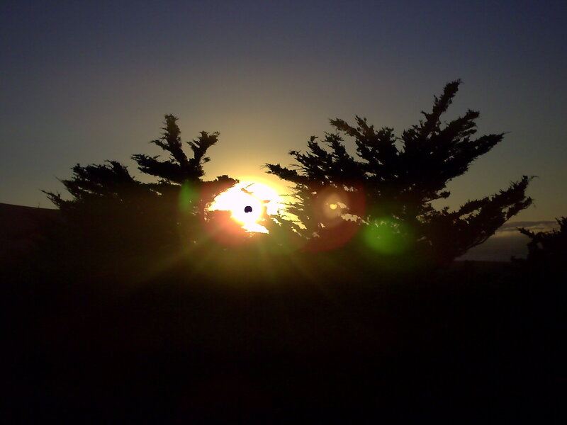 Sunset behind silhouetted trees