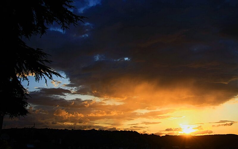 Sunset behind the trees