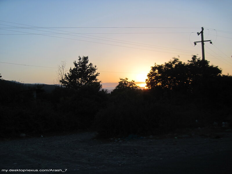 Sunset behind trees