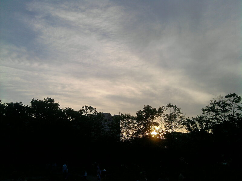Sunset behind trees and buildings