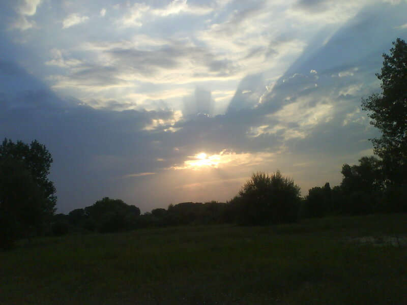 Sunset Behind Trees — Blue, Dramatic, Photograph, Clouds, Sky