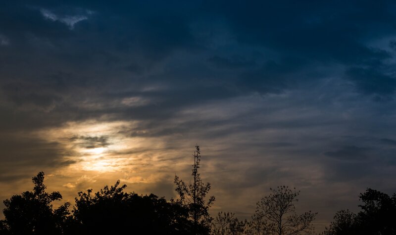Sunset Behind Trees — Blue, Dramatic, Photograph, Clouds
