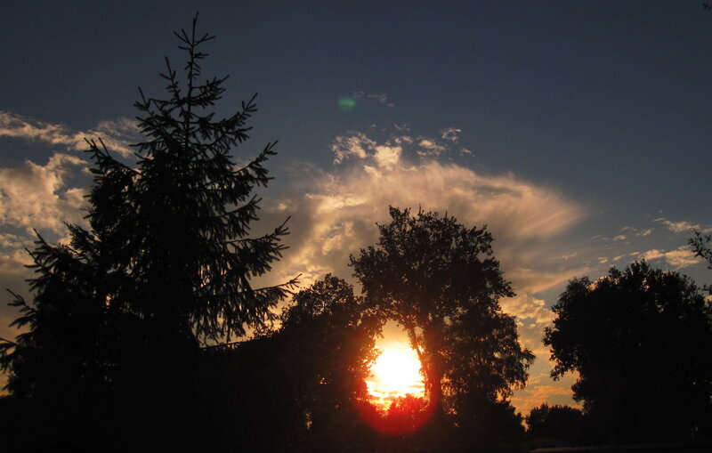 Sunset Behind Trees — Blue, Dramatic, Photograph