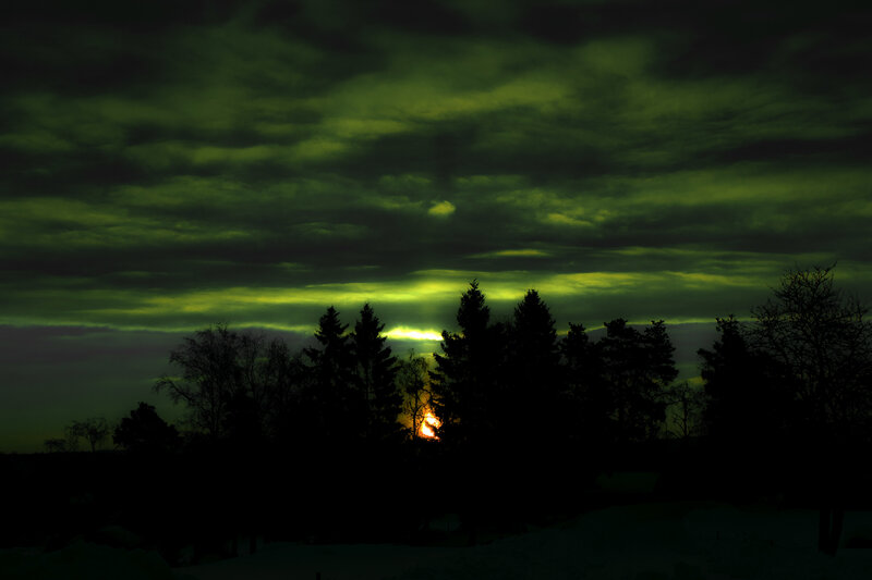 Sunset Behind Trees — Green