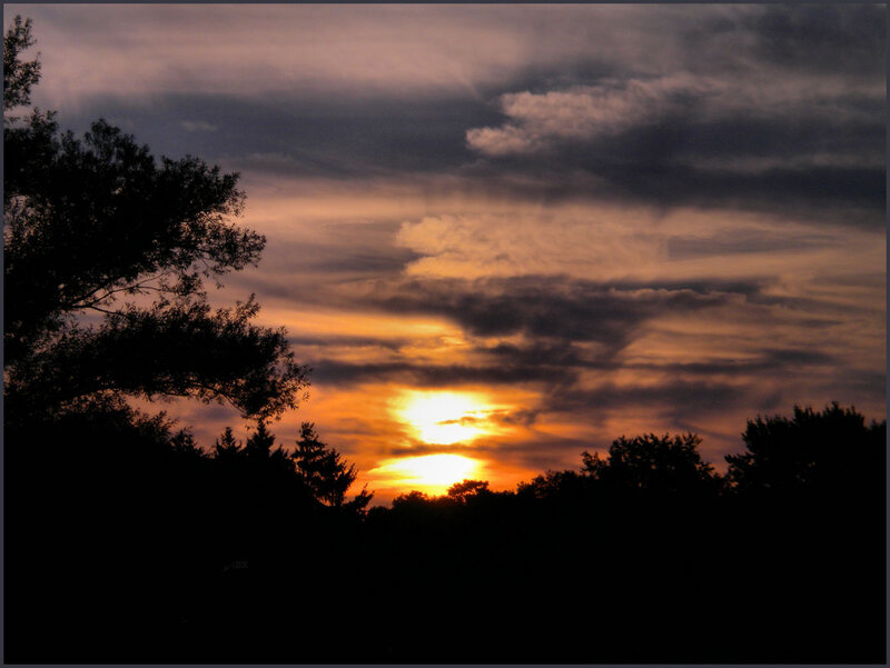 Sunset Behind Trees — Orange, Dramatic, Photograph, Clouds, Sun, Black