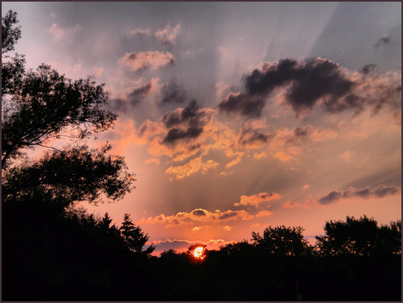 Sunset Behind Trees — Orange, Dramatic, Photograph, Clouds, Sun, Purple
