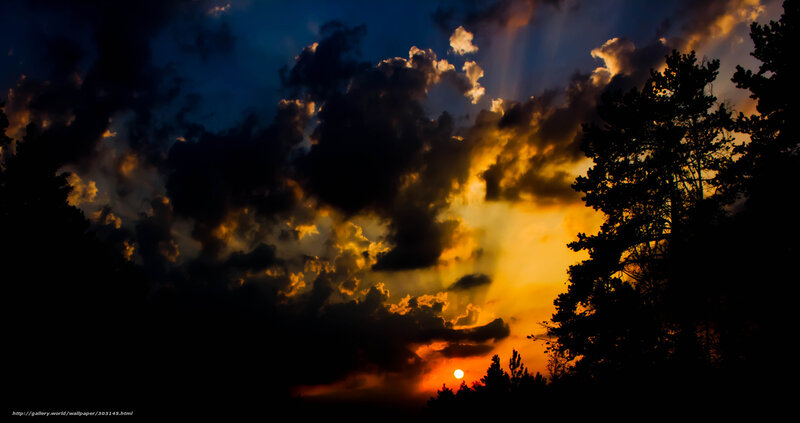 Sunset Behind Trees — Orange, Dramatic, Photograph, Clouds, Sun