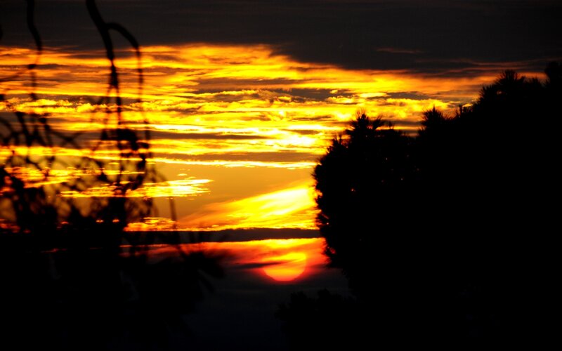 Sunset Behind Trees — Orange, Dramatic, Photograph, Clouds, Sun, Yellow, Black