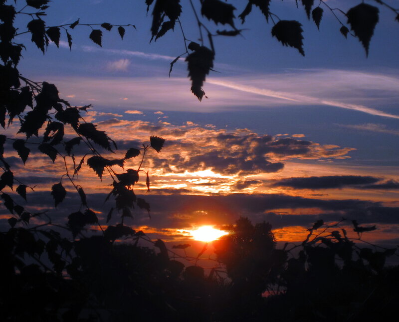 Sunset Behind Trees — Orange, Dramatic, Photograph, Clouds