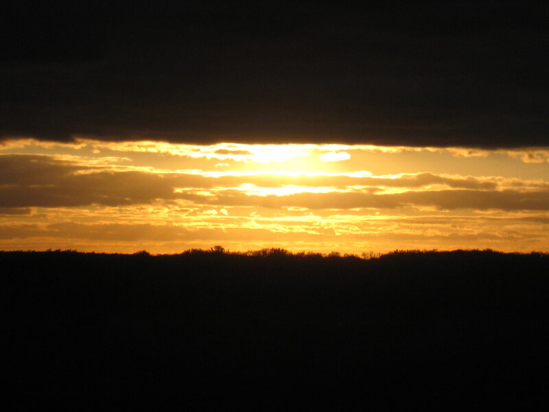 Sunset Behind Trees — Orange, Dramatic, Photograph, Sky, Clouds