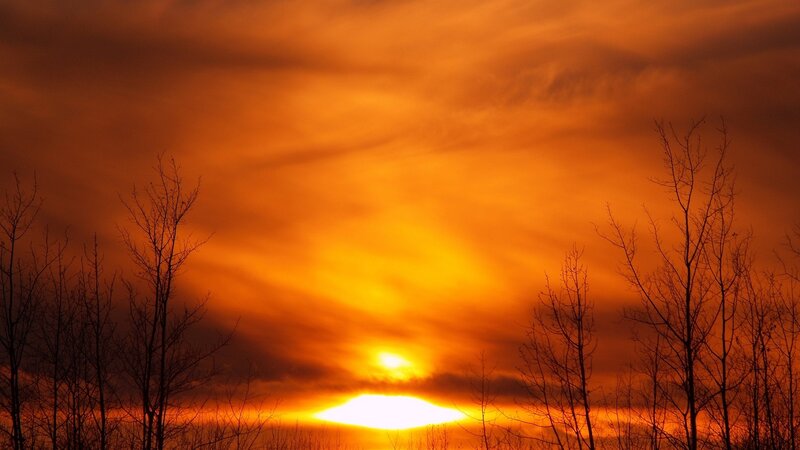 Sunset Behind Trees — Orange, Dramatic, Photograph, Sky, Sun
