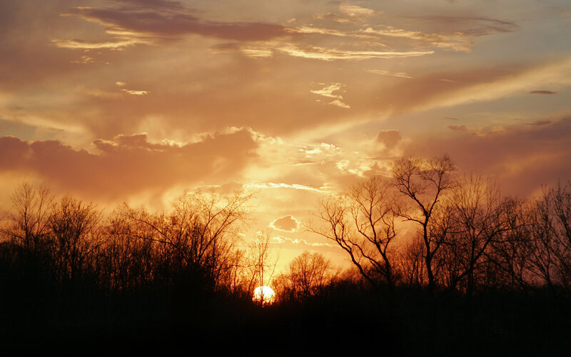 Sunset Behind Trees — Orange, Dramatic, Photograph, Sun, Clouds, Yellow, Black