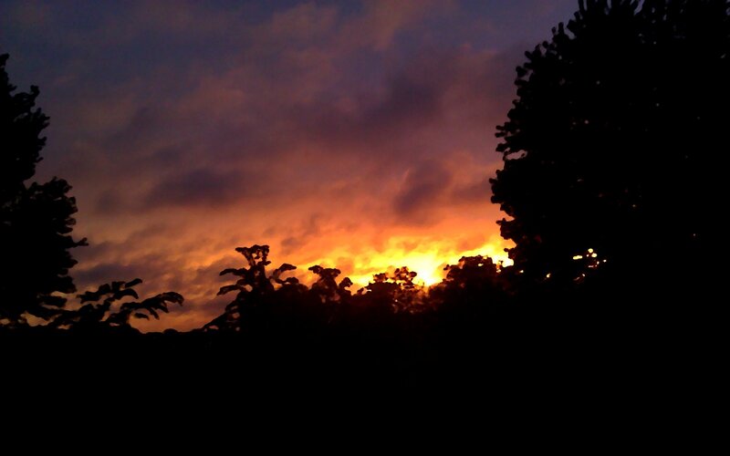Sunset Behind Trees — Orange, Dramatic, Photograph