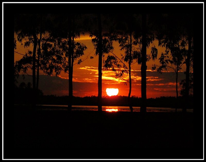 Sunset Behind Trees — Orange, Dramatic