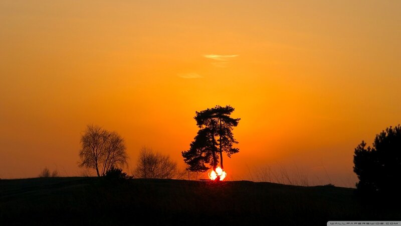 Sunset Behind Trees — Orange, Serene, Photograph, Sky, Hill