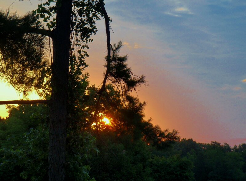 Sunset Behind Trees — Orange, Serene, Photograph, Sky