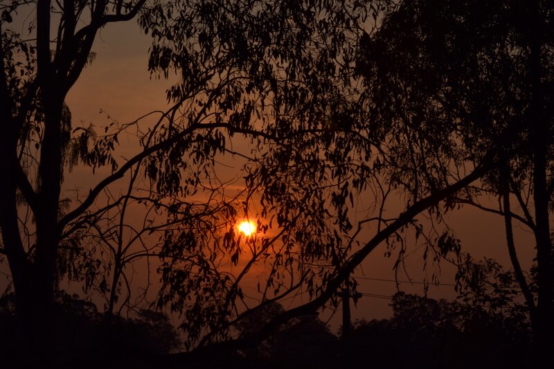 Sunset Behind Trees — Orange, Serene, Photograph
