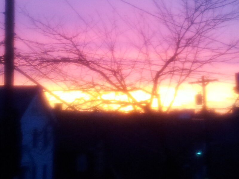 Sunset Behind Trees — Purple, Dramatic