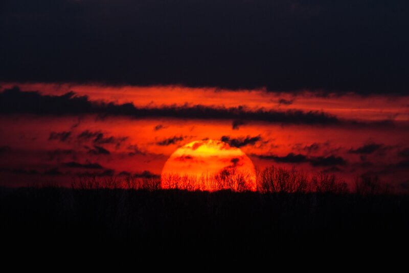 Sunset Behind Trees — Red, Dramatic