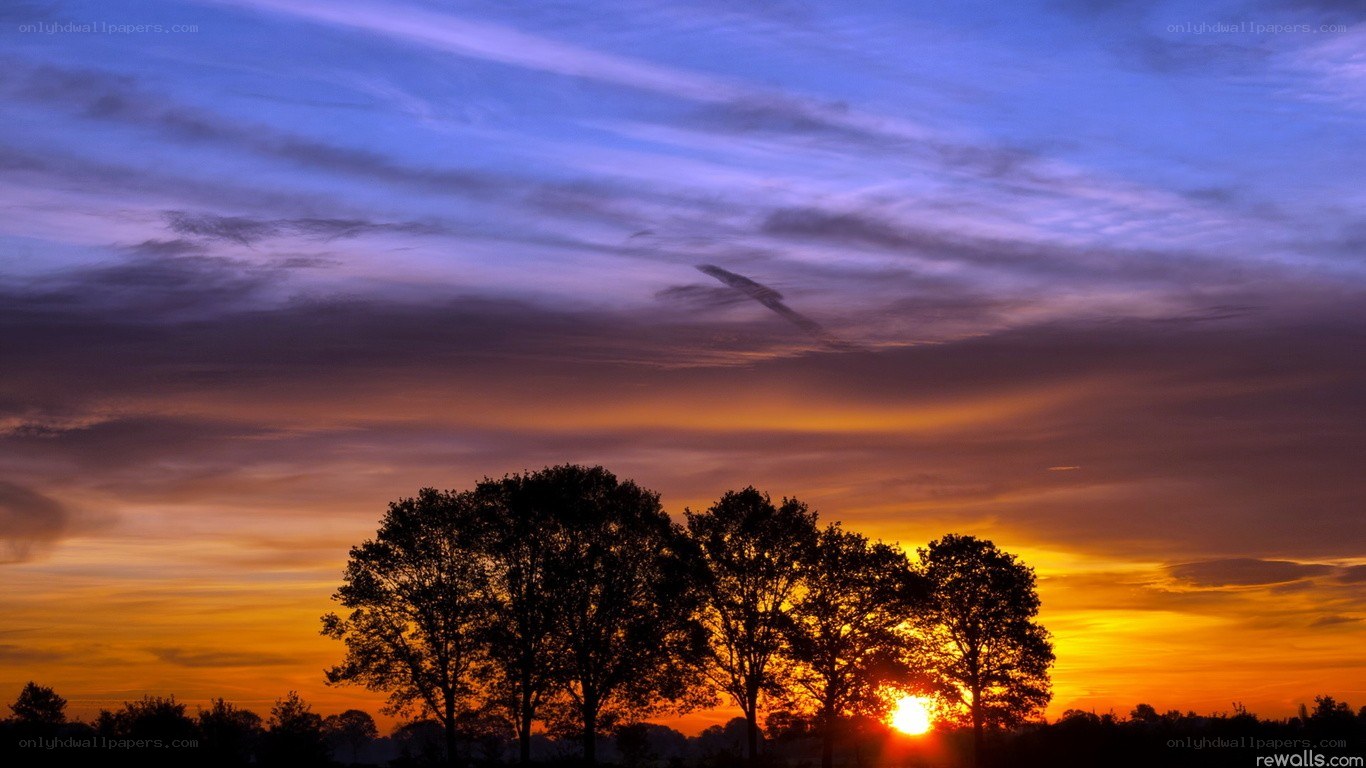 Sunset behind trees silhouette