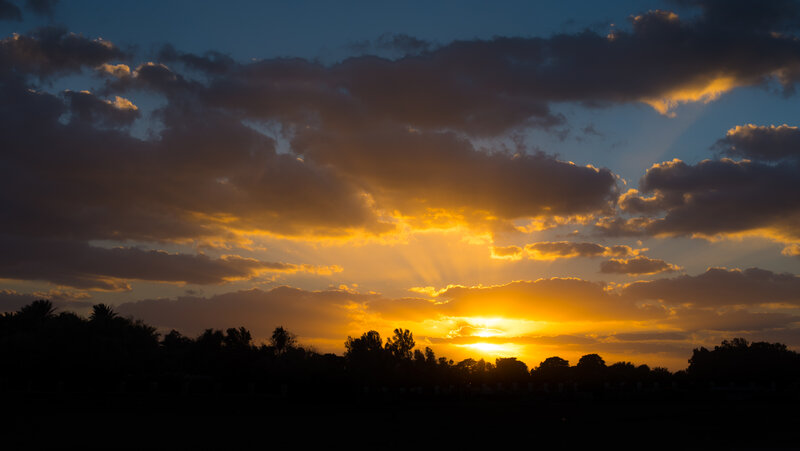 Sunset Behind Trees — Yellow, Dramatic, Photograph