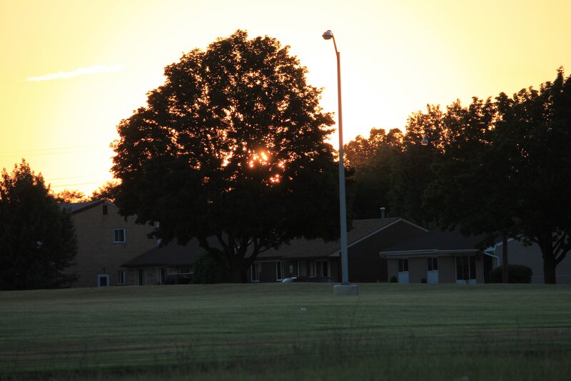 Sunset Behind Trees — Yellow, Serene, Photograph, Houses